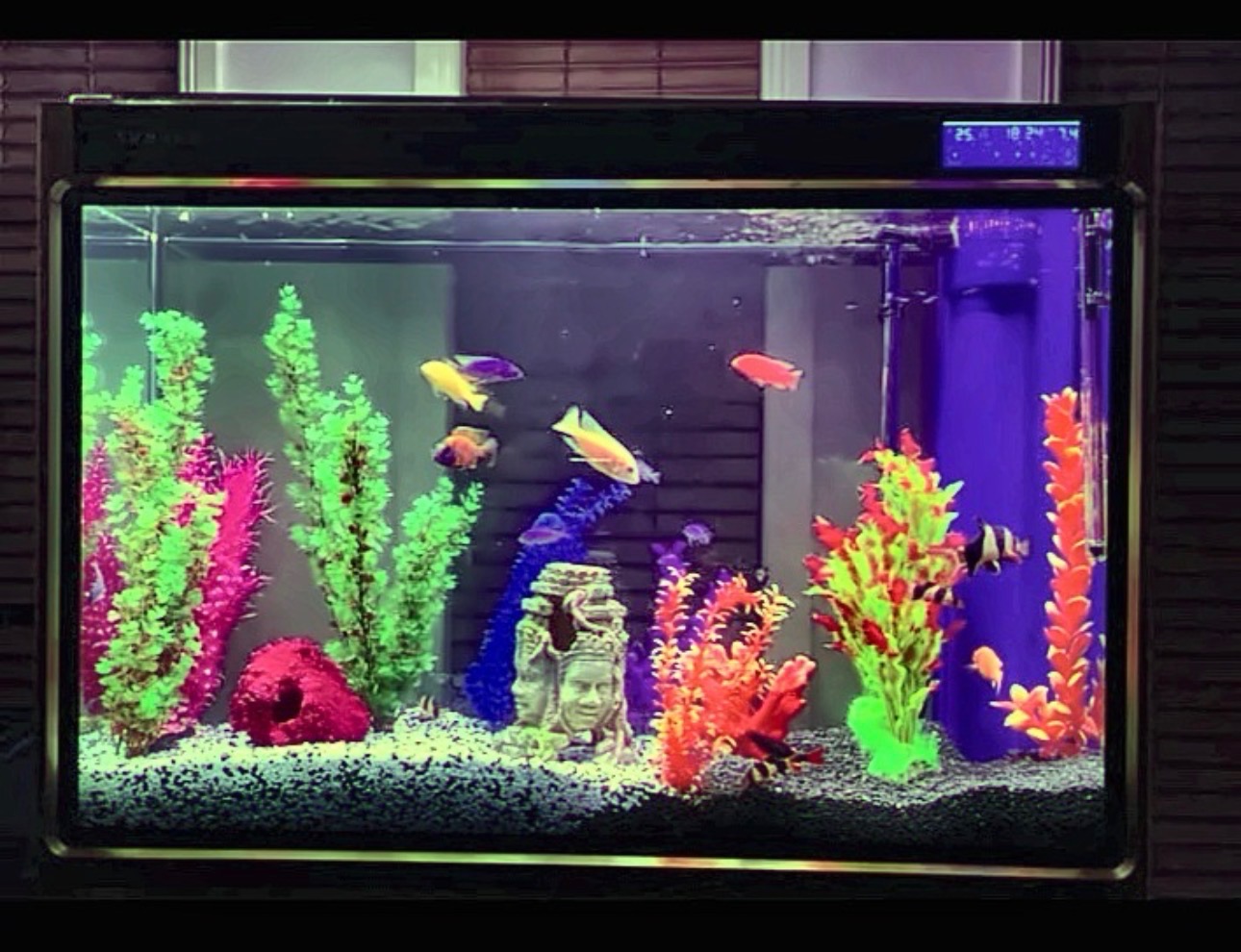 Aquarium Installation
