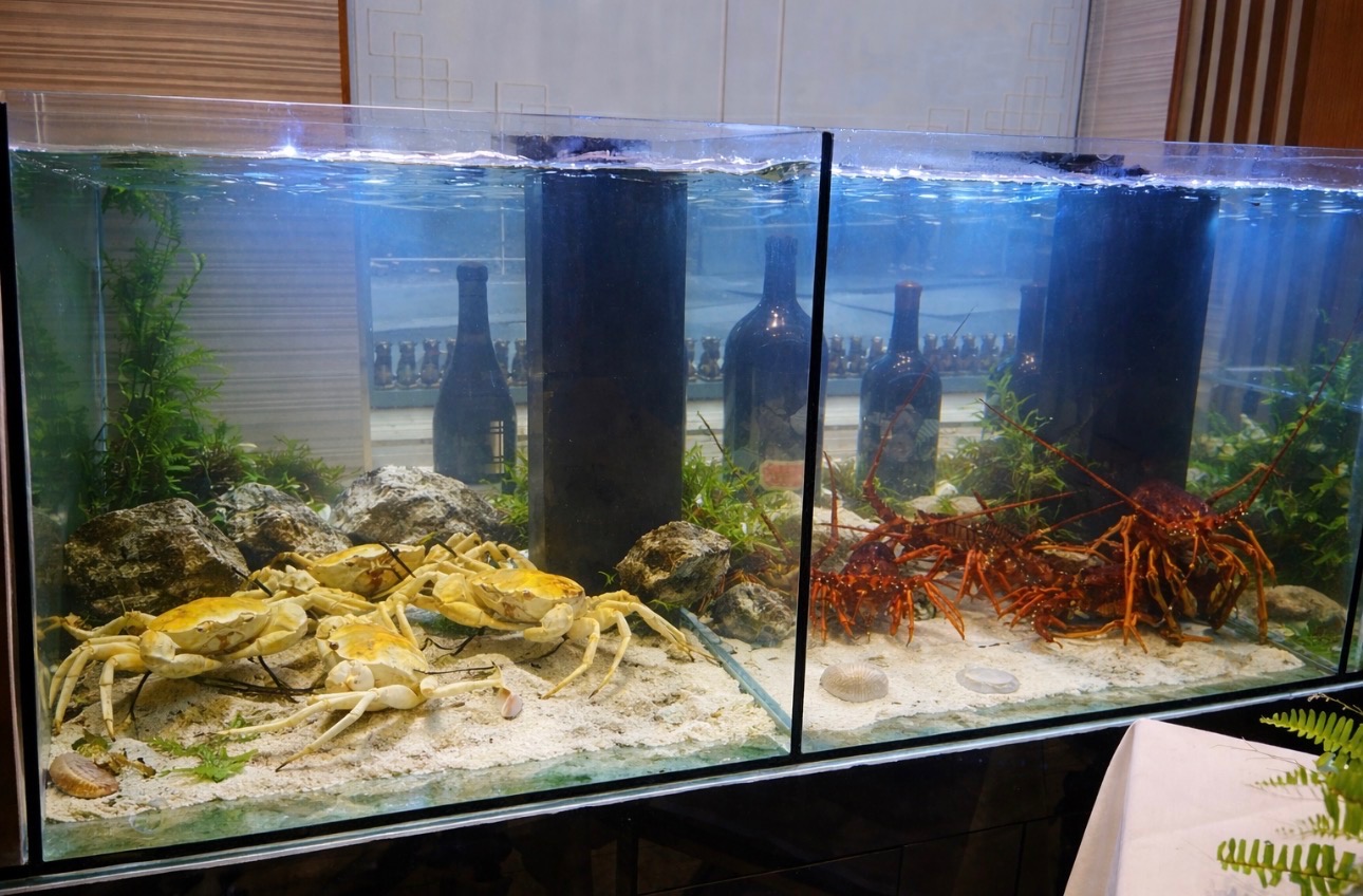 Aquascaping