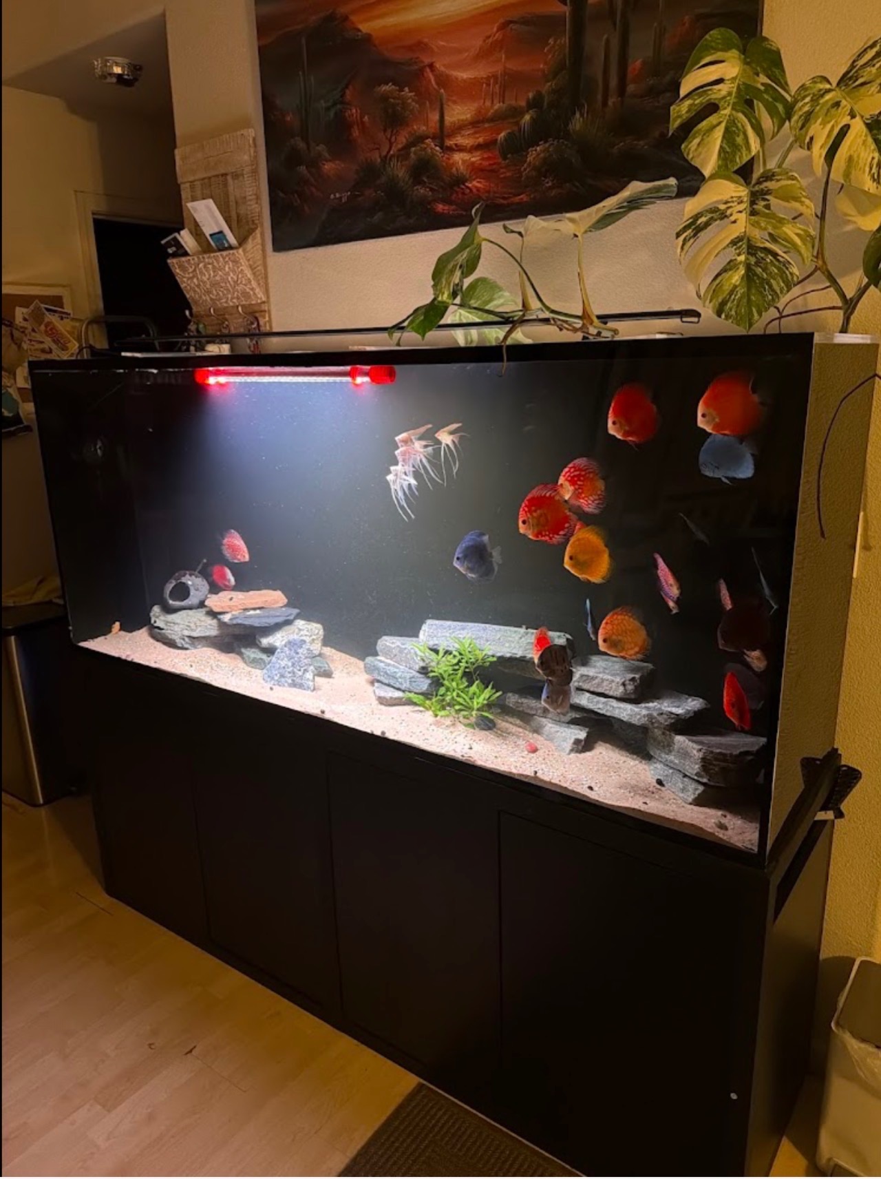 Custom Tanks