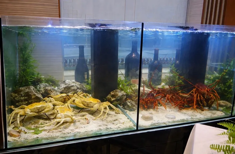 Aquascaping